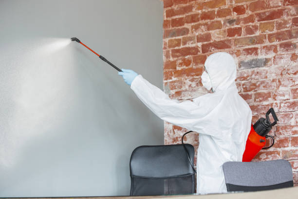 Best Environmental Consulting for Mold Prevention  in Merian, ID