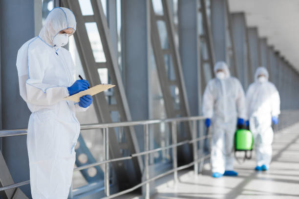 Best Mold Remediation for Healthcare Facilities  in Merian, ID