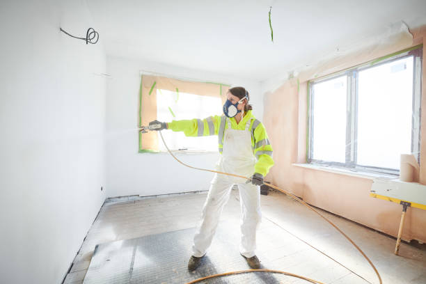 Reliable Meridian, ID Mold Removal Solutions