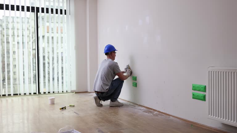 Best Black Mold Removal  in Merian, ID