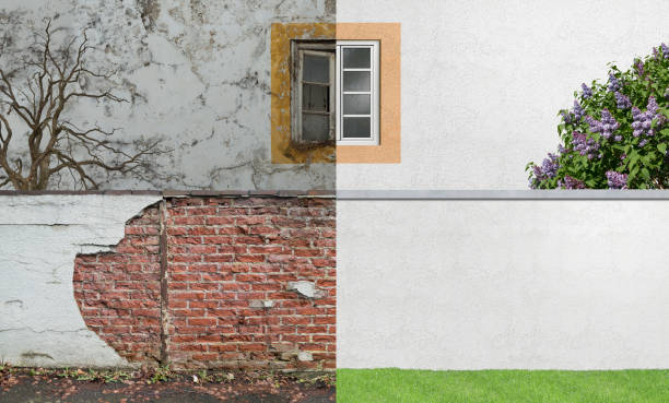 Best Mold Prevention Services  in Merian, ID