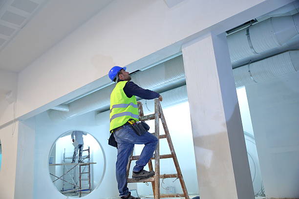 Best Real Estate Mold Inspection  in Merian, ID