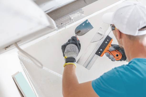  Merian, ID Mold Removal Pros
